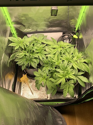 Growreport Bild 24