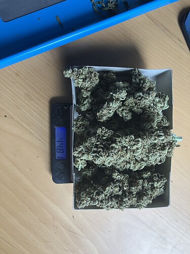 Growreport Bild 8