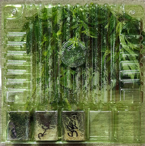 1000051052