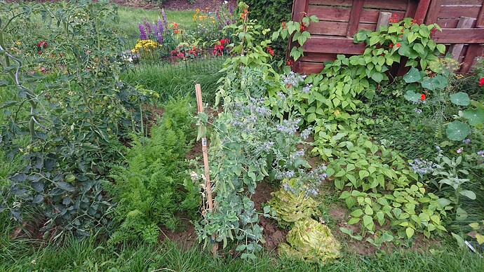 Growreport Bild 37