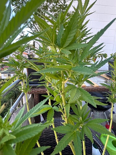 Growreport Bild 11