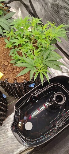 IMG_20251007_094542110_HDR