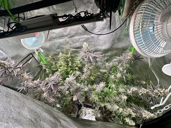 Growreport Bild 29