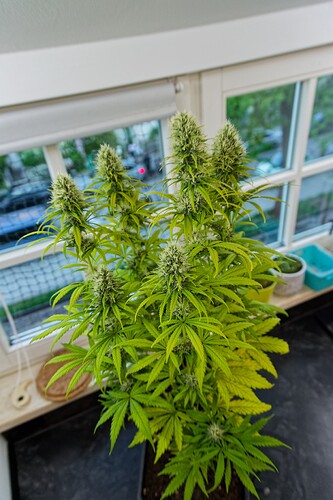 Growreport Bild 14