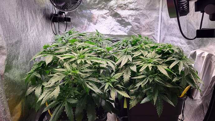 Growreport Bild 8