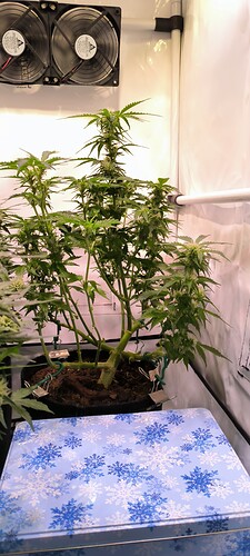 Growreport Bild 30