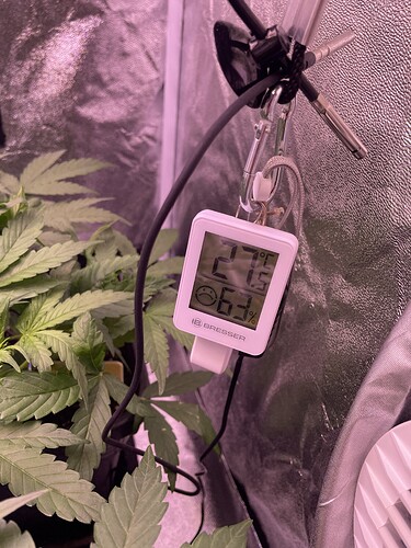 Growreport Bild 13