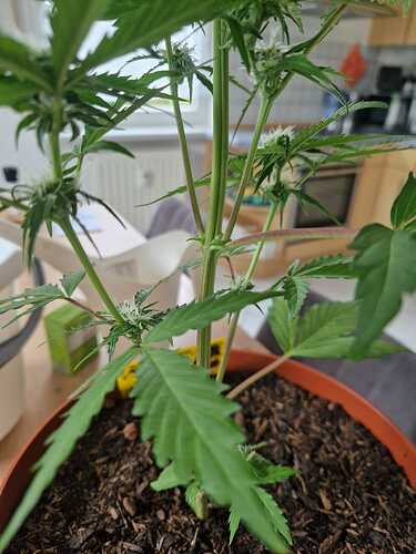 WhatsApp Image 2024-05-24 at 16.08.16 (2)