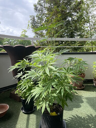 Growreport Bild 11