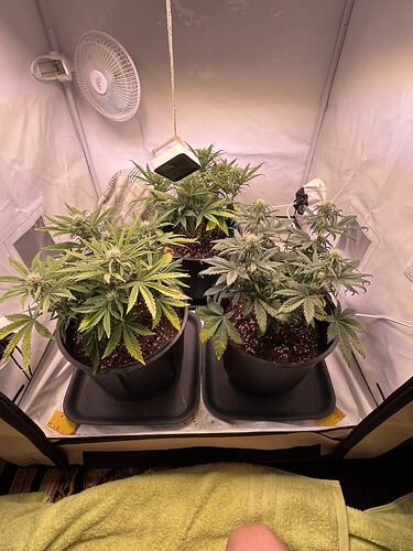 Growreport Bild 19