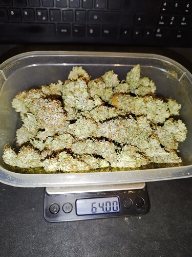 Growreport Bild 5