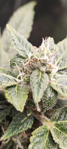 Screenshot_2024-05-04-07-56-18-749_com.miui.gallery