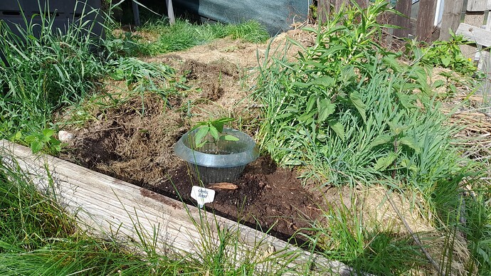 Growreport Bild 9