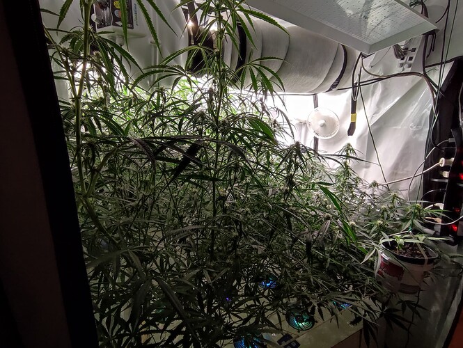 Growreport Bild 7
