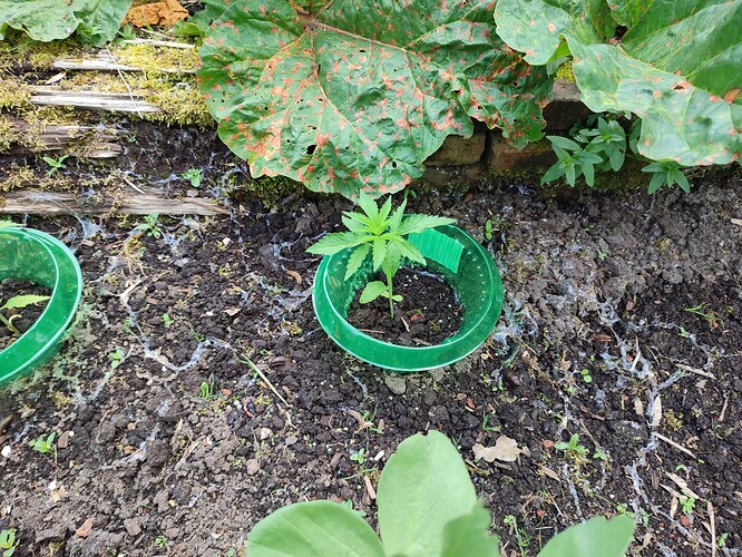 Growreport Bild 9
