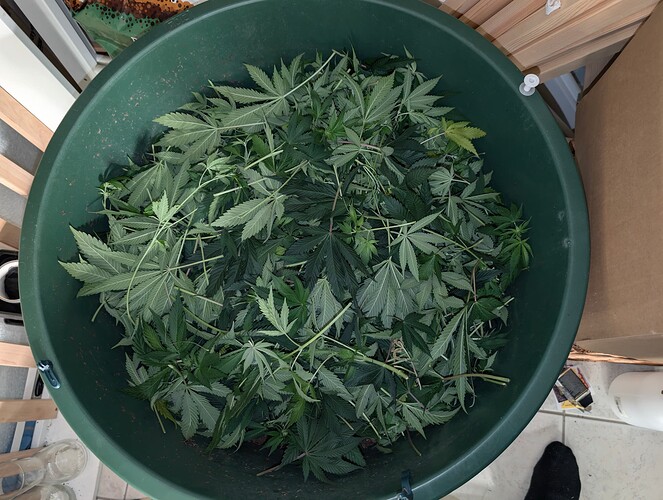 Growreport Bild 1