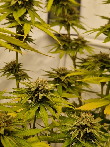 Growreport Bild 10