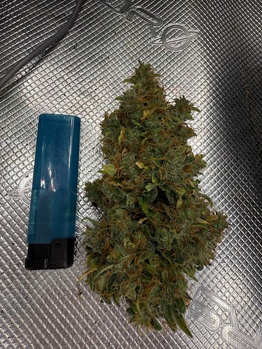 Growreport Bild 7