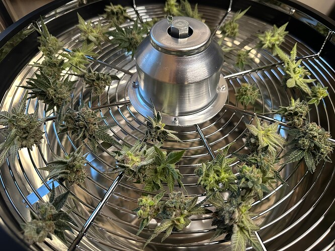 Growreport Bild 4