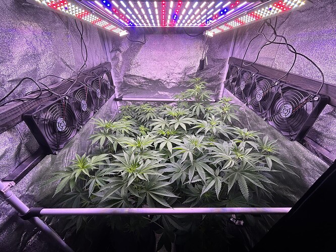 Growreport Bild 9
