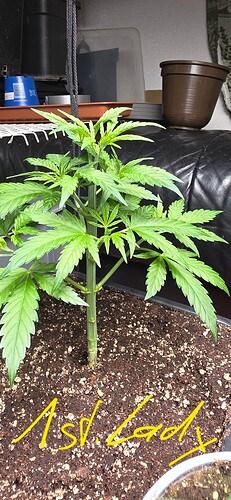 Growreport Bild 28