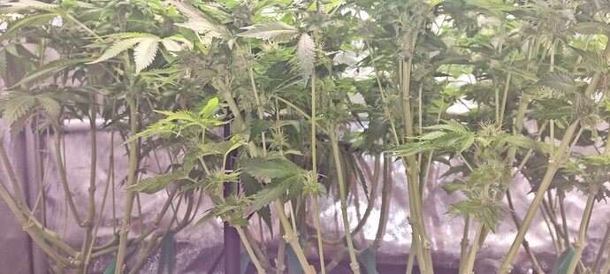 Growreport Bild 12