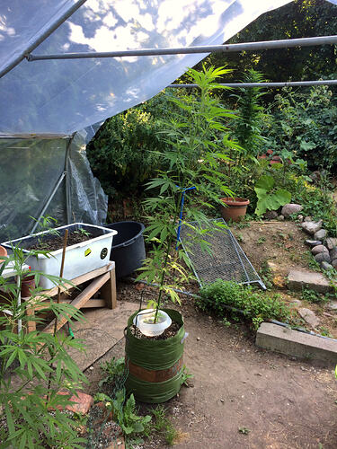 Grow26_0723_02