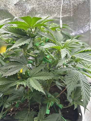 Growreport Bild 16