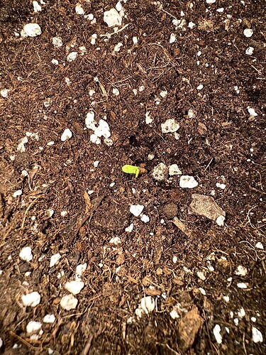 Growreport Bild 15
