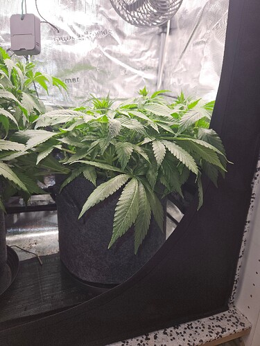 Growreport Bild 10