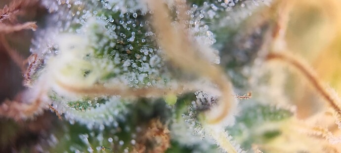 Growreport Bild 17
