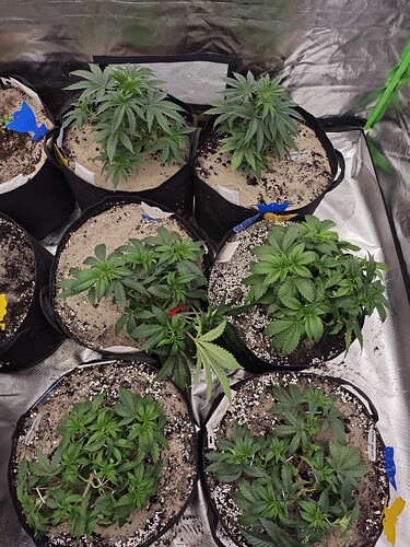 Growreport Bild 8