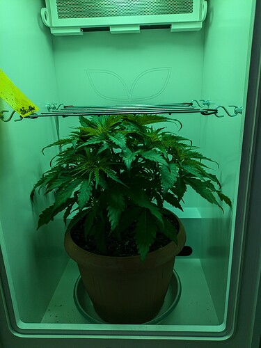 Growreport Bild 1