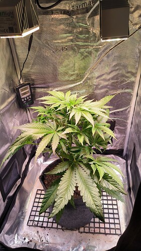 Growreport Bild 4