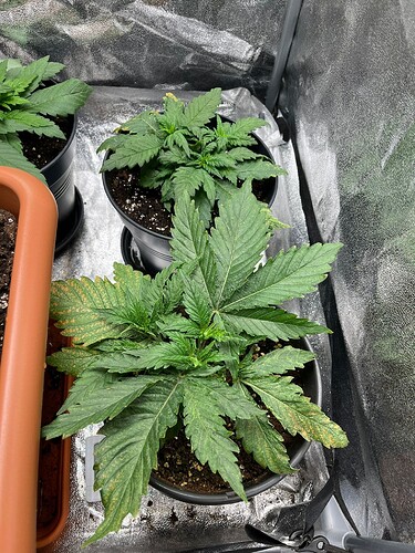Growreport Bild 4