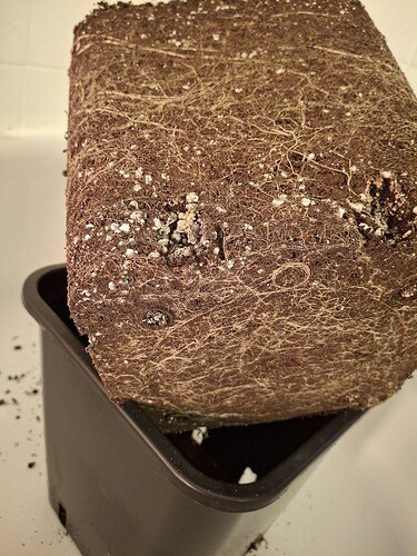 Growreport Bild 10
