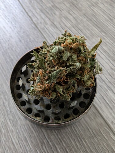 Growreport Bild 21