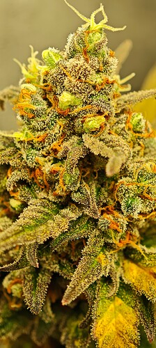 Growreport Bild 18