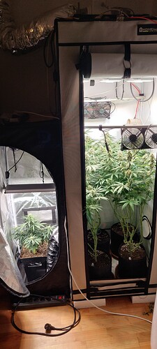 Growreport Bild 2