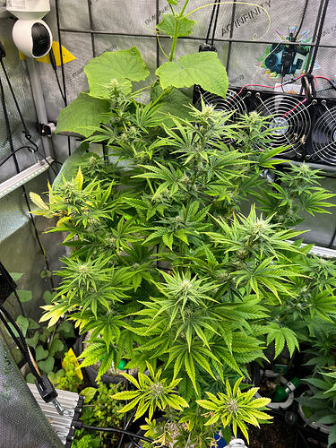 Growreport Bild 10