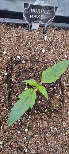 WhatsApp Image 2025-11-24 at 14.52.50 (2)