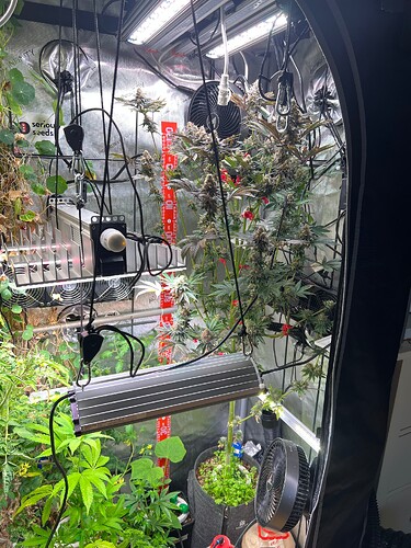 Growreport Bild 13