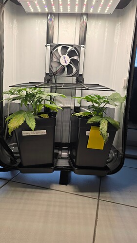 Growreport Bild 6