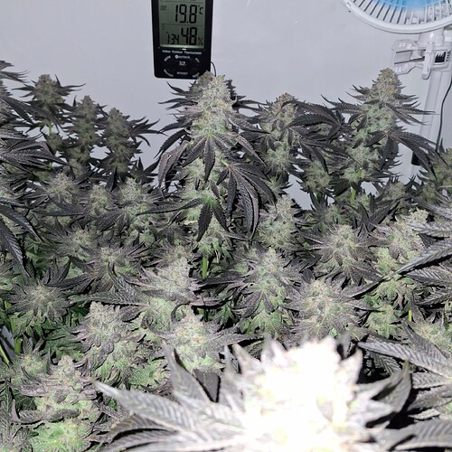 480238067_122170053056293599_4319394617781758037_n