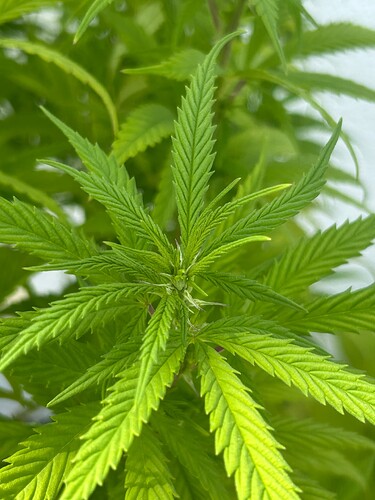 Growreport Bild 14
