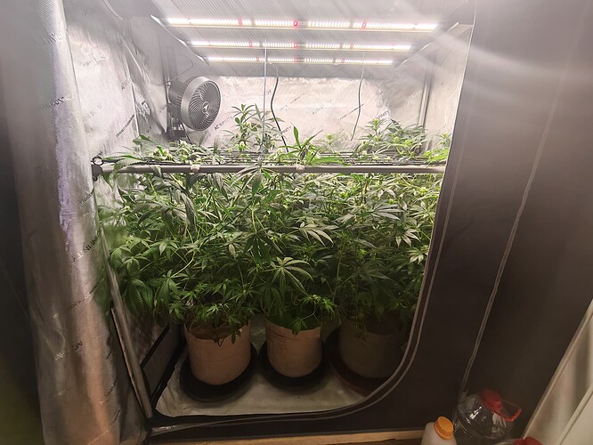 Growreport Bild 2