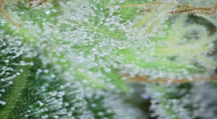 Growreport Bild 10