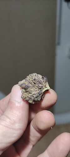Growreport Bild 18