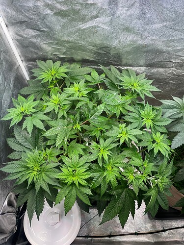 Growreport Bild 8