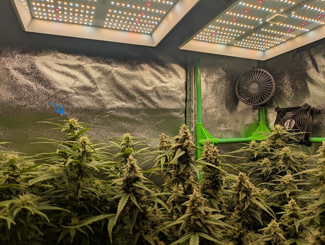 Growreport Bild 26